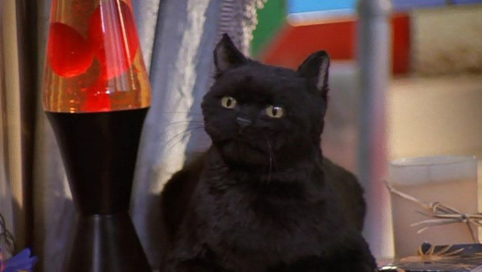 Salem was the Spellmans' cat, who was actually&nbsp;a 500-year-old witch sentenced to spend 100 years as a feline after committing crimes in the Other Realm.