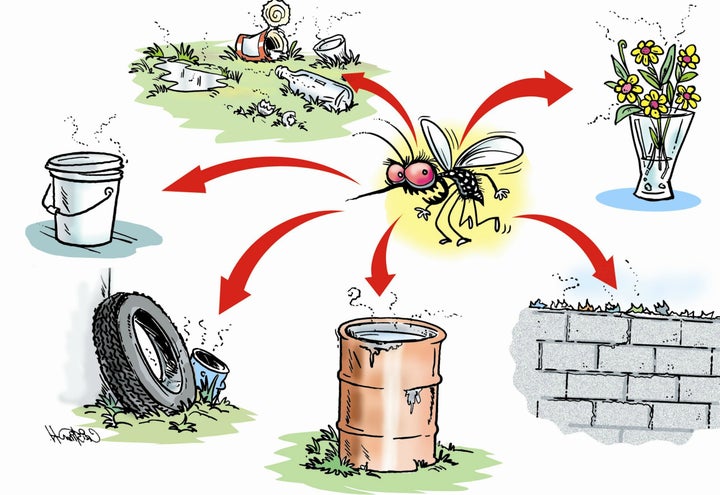 Vector control is the primary method of dengue prevention. 