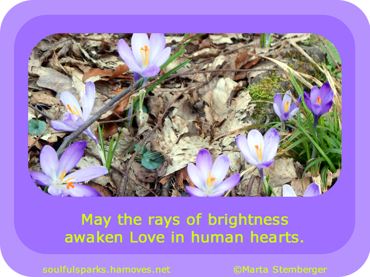 “May the rays of brightness awaken Love in human hearts.” (Soulful Wizardess Marta Stemberger, Light Awakens Love) 