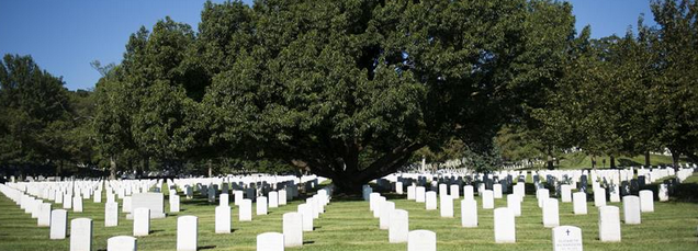 About 400,000 souls are buried in Arlington National Cemetery. The ACA repeal would result in thirty-five times this number losing their health insurance. An unknown number of Americans may die prematurely as a result. 