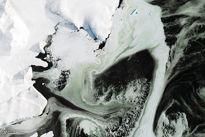 This is the first zoomed-in area showing the green hue of the Antarctic ice.