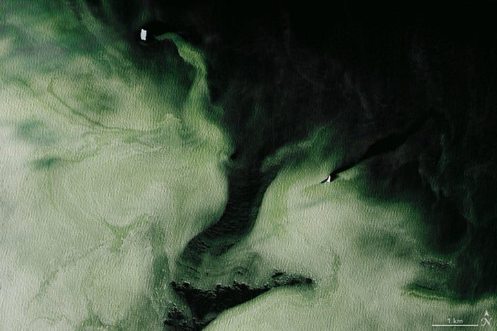 This is the second zoomed-in area showing the green hue of the Antarctic ice.