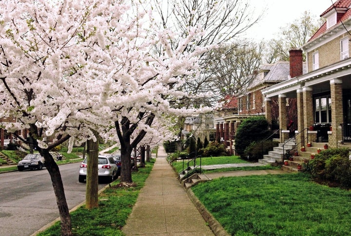 <p>A close-in DC neighborhood with low driving rates</p>