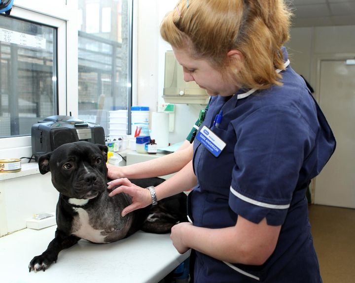 The RSPCA, which rescues sick and injured animals, is one of the three successful charities in Wednesday's ruling.