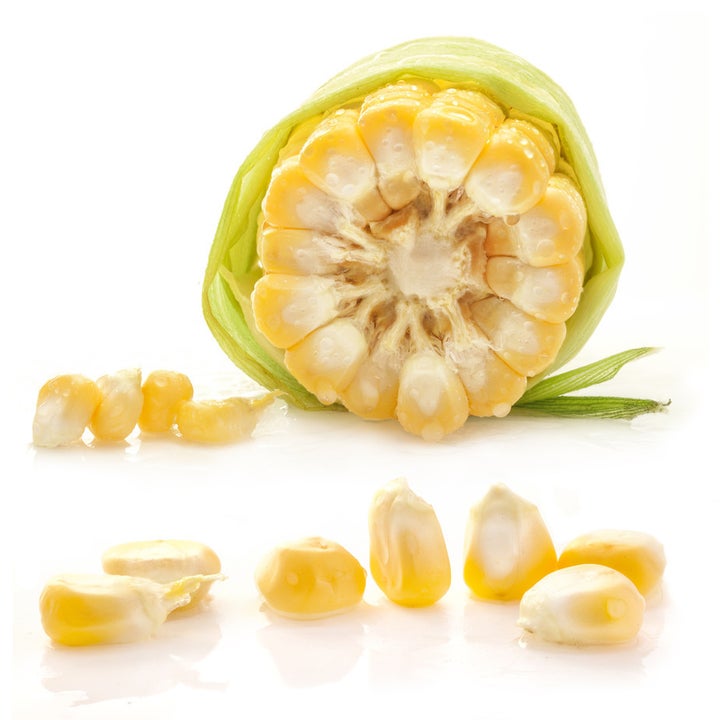 <p>Kernels of corn share genetic processes with human cells</p>