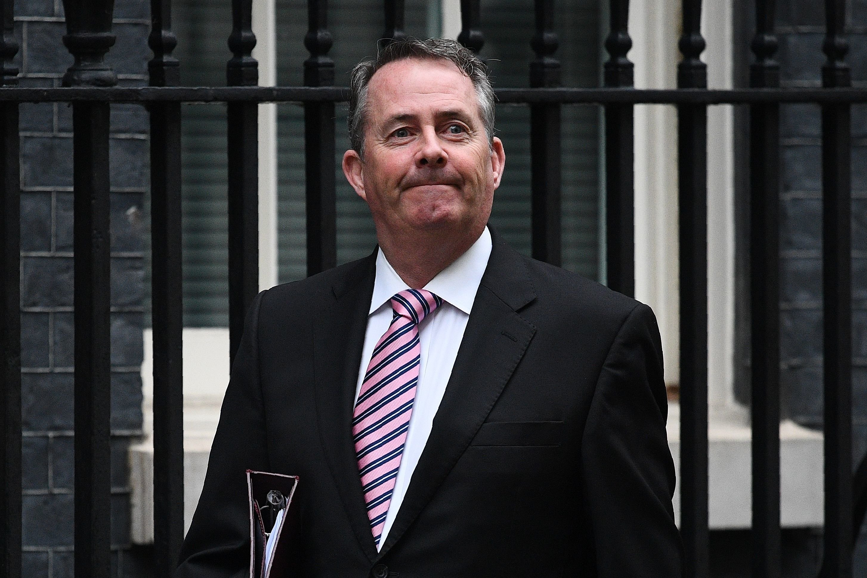 Liam Fox Slapped Down By No 10 After Revealing Ongoing Argument In   58c94ab82c00002100fee81c 