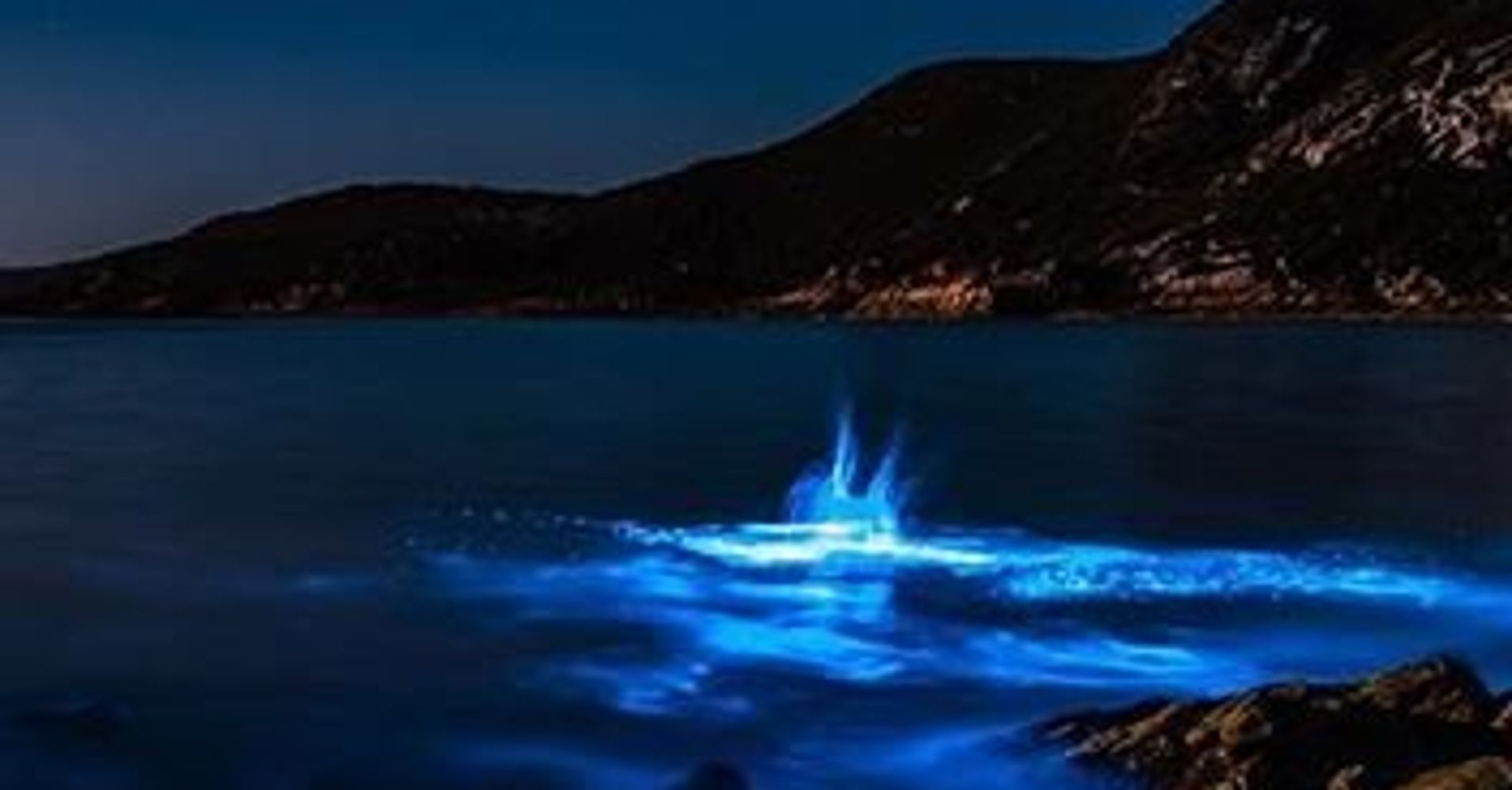Mesmerizing Blue Light Makes Tasmanian Waters Glow HuffPost