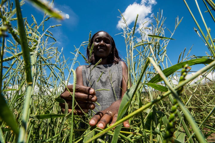 <a rel="nofollow" href="https://www.flickr.com/photos/ciat/27191635216" target="_blank">Thousands of women farmers feed the w