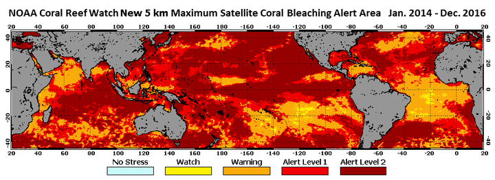 All tropical oceans were unusually hot between January 2014 and December 2016, with most coral reef ecosystems exposed to conditions that cause severe bleaching and coral deaths, NOAA says.