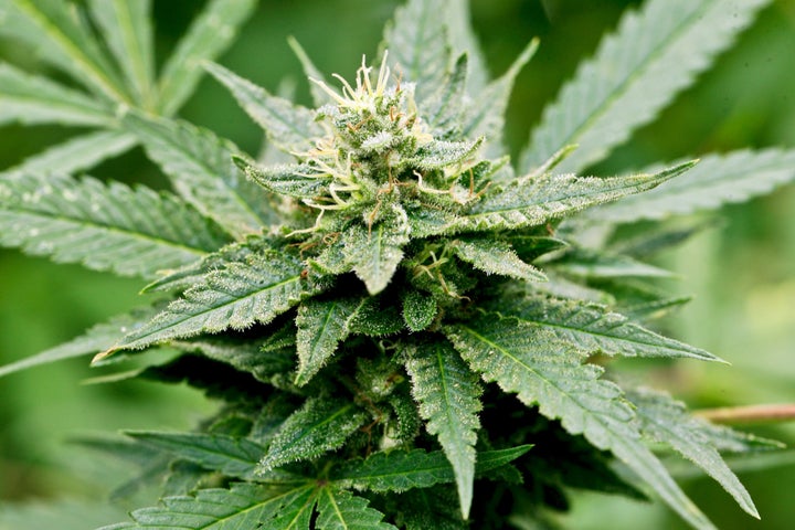 Cannabis is illegal in the U.K. In New York, where the 76-year-old actor currently resides, there are tight restrictions on medical marijuana use.