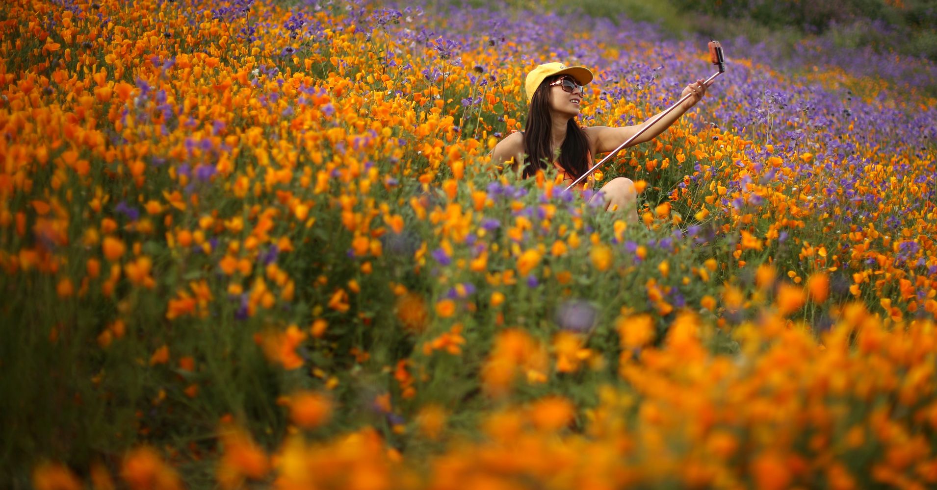 'Super Blooms' Transform California Deserts Into Colorful ...