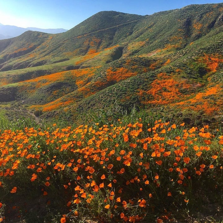 Lake Elsinore, California @DANIELLELHAMILTON