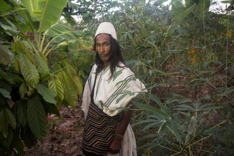 Pablo Izquierdo Perez on his farm in the Sierra Nevada de Santa Marta mountains in Colombia.
