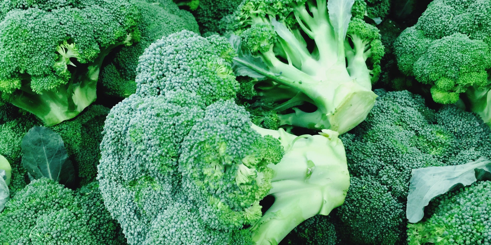 This Is Why Broccoli Is So Good At Protecting Your Health HuffPost UK