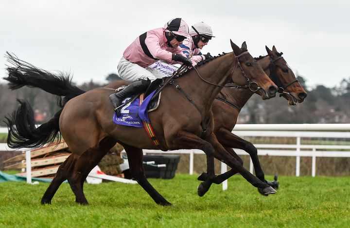 Toe The Line, pictured in February at Leopardstown, was one of two horses that died at Cheltenham Festival on Thursday