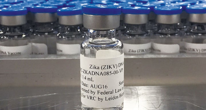 <p>Zika DNA vaccine</p>