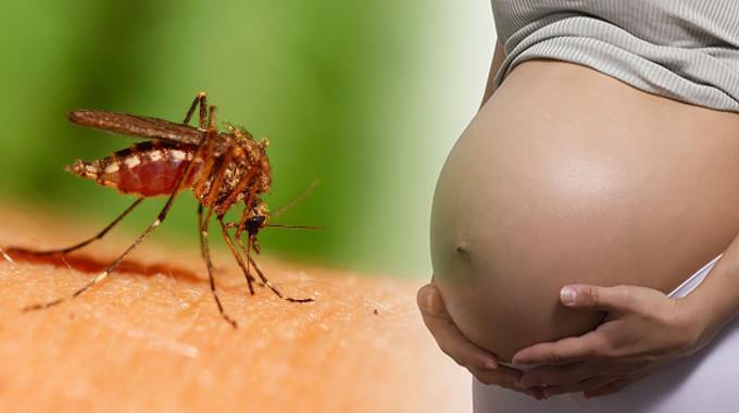 Zika virus can cause severe birth defects in babies whose mothers are infected during pregnancy. 