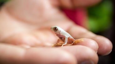 http://e.kaduya.com/news/943b298964.html