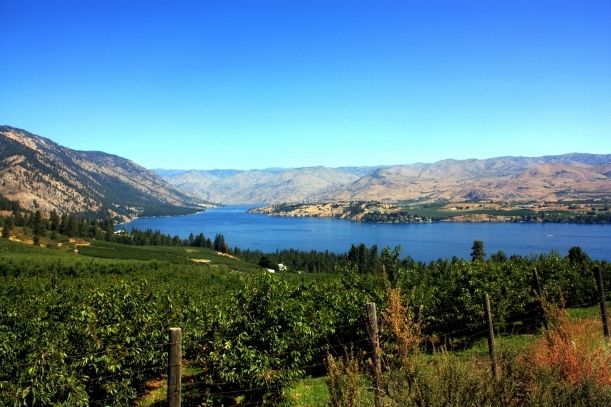 Lake Chelan Wine Valley
