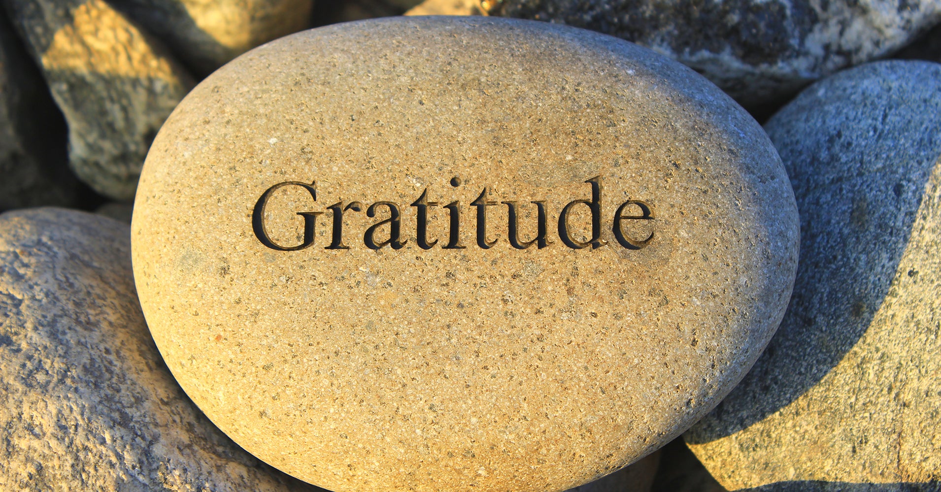 a-lesson-in-gratitude-huffpost