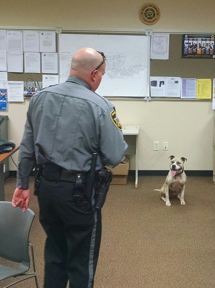 Sarah, training with a man identified as Deputy Harper.