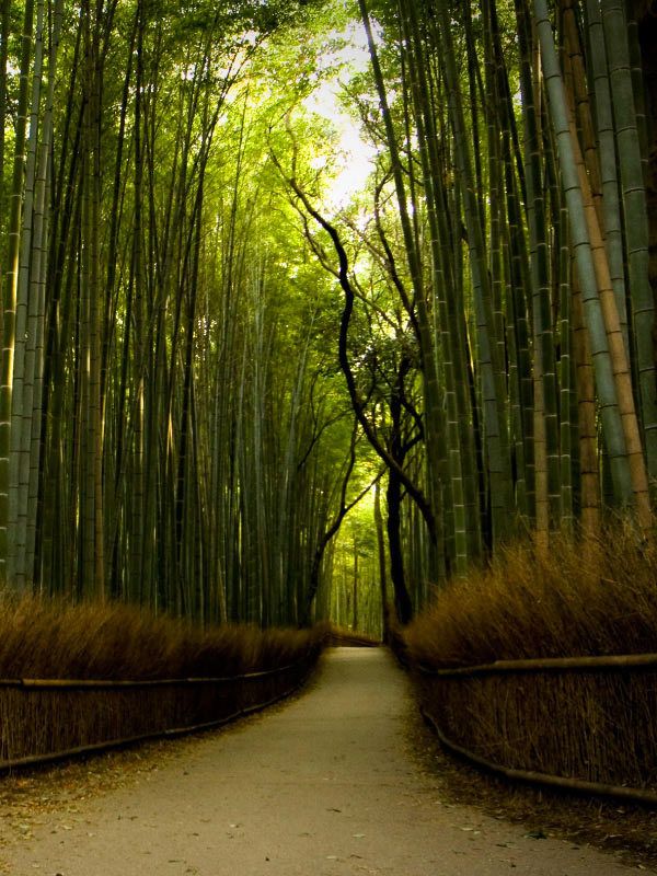 Eightfold path of Zen www.zen-buddhism.net