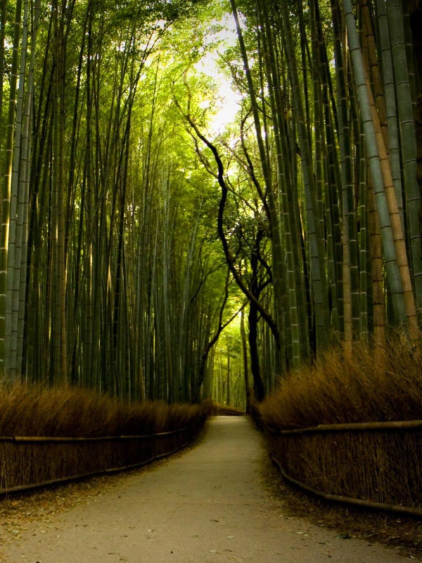Eightfold path of Zen <a rel="nofollow" href="https://www.zen-buddhism.net/" target="_blank">www.zen-buddhism.net</a>