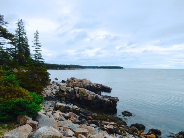 <p>Schoodic Peninsula, ME</p>