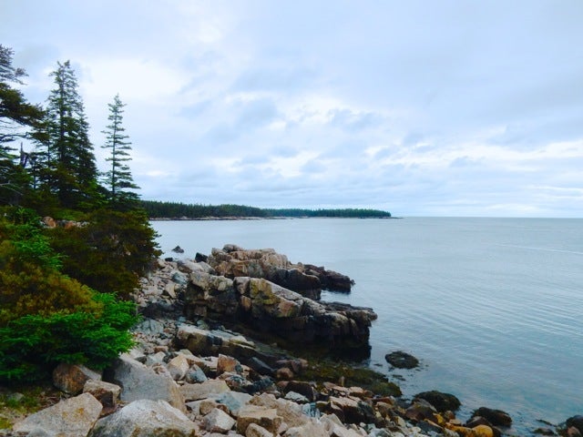 Schoodic Peninsula, ME