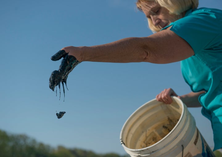 Diana Muller, the former director of scientific research at the South River Federation flicks 'black muck' from her hands after obtaining pollution samples on Church Creek, a tribute to the Chesapeake Bay in Annapolis, Maryland on May, 5, 2015.