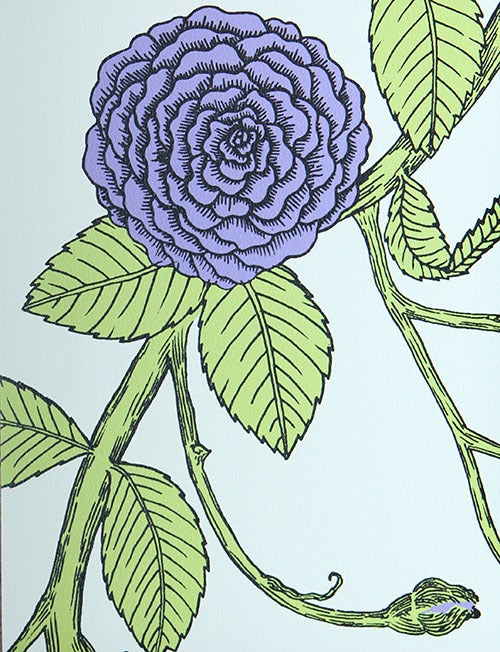 <strong>Elva Rose is named for Sarah’s grandmother.</strong>