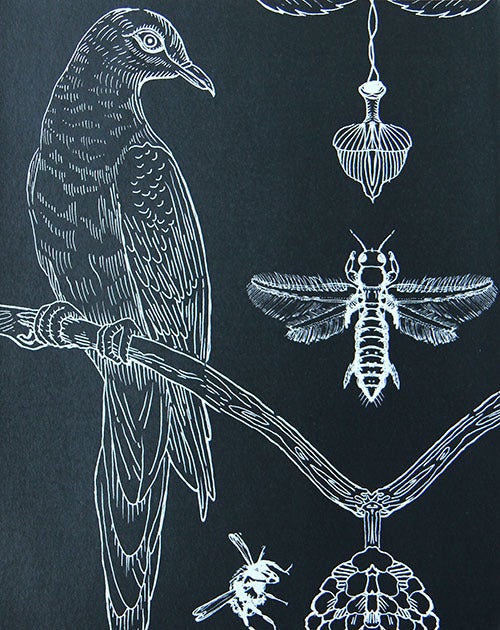 <strong>Snake Party features a passenger pigeon and a tobacco thrips.</strong>