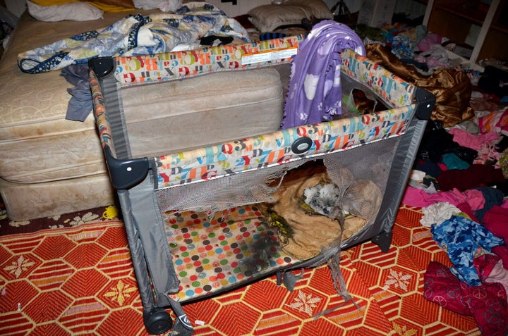 "The playpen where a flash-bang grenade landed during a raid in Cornelia, Ga. The heat singed away much of the pillow and dissolved the mesh side of the playpen.”