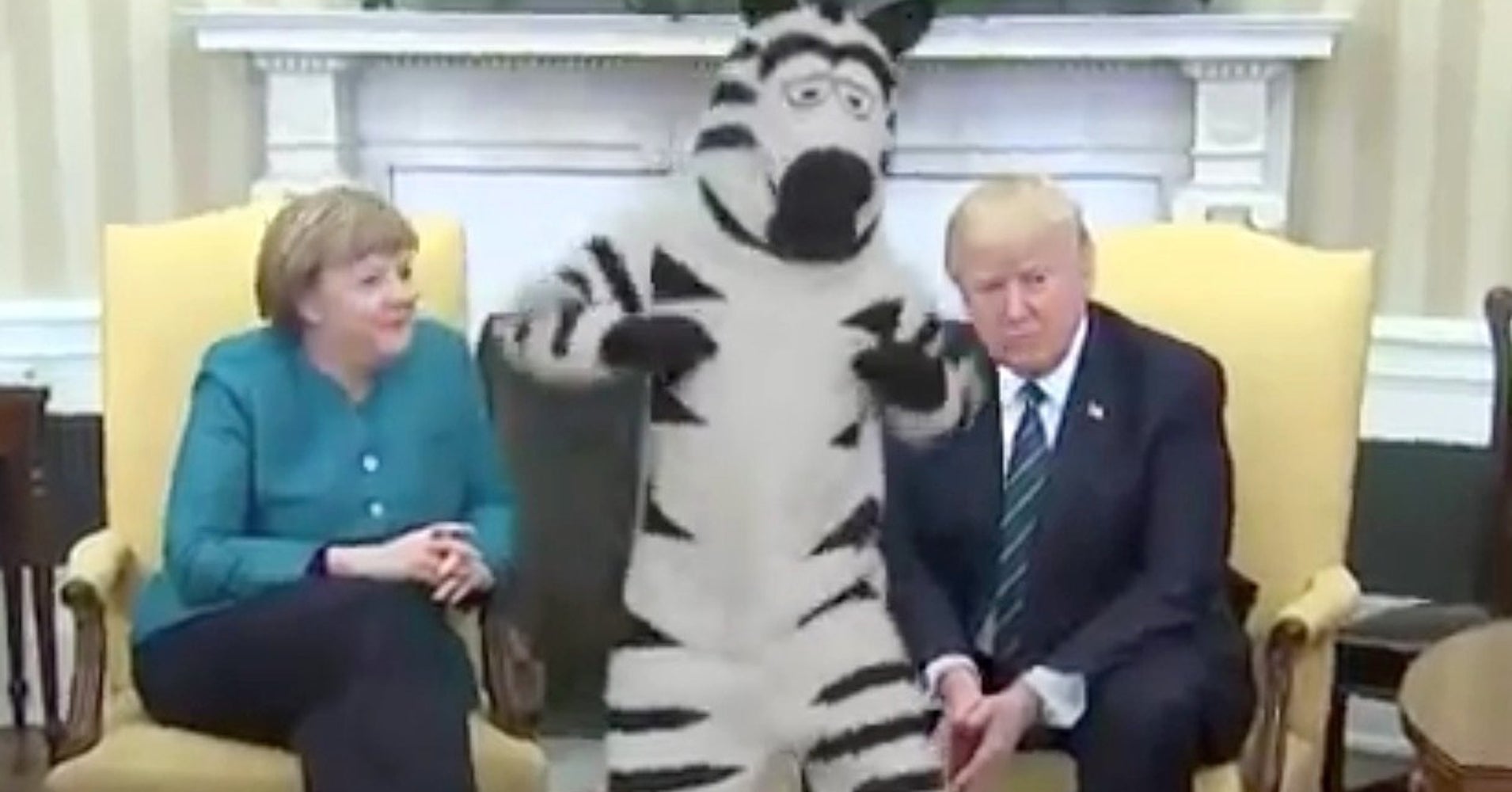 John Oliver's Weird TrumpCrashing Zebra Is The New Meme You'll See