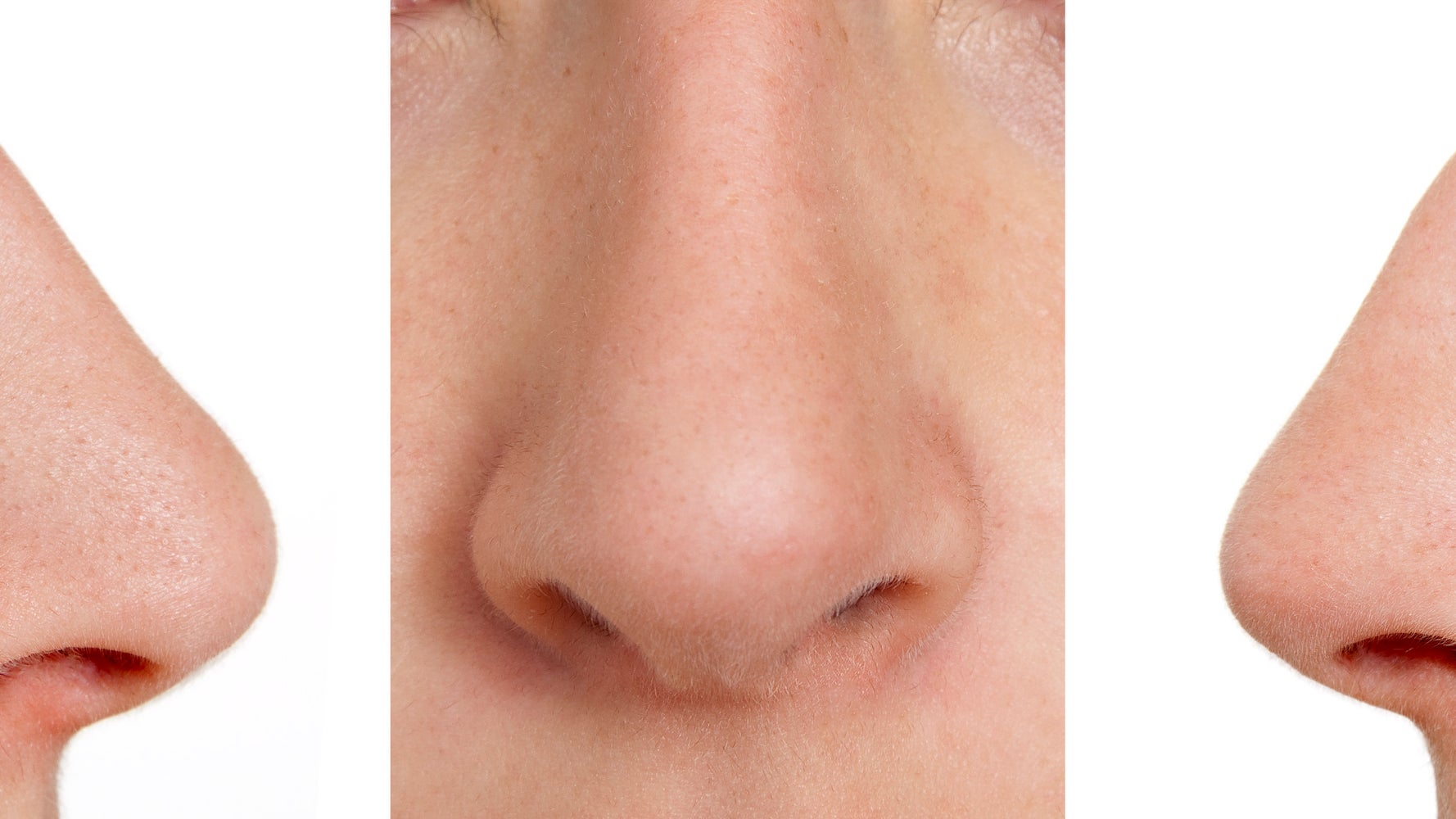 nose-understanding-nasal-anatomy-inside-view-saint-luke-s-health