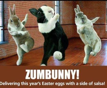 Zumba Bunnies. <a rel="nofollow" href="https://www.express.co.uk/" target="_blank">www.express.co.uk</a>
