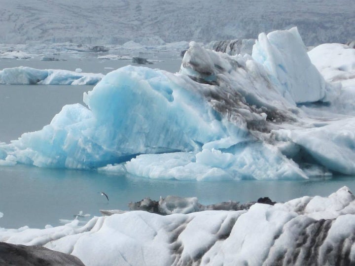 Calving Glacier and Iceburgs