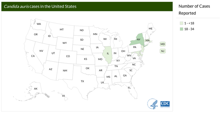 The count of <i>C. auris</i> cases in the US as of March 16, 2017.