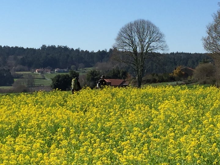 Galicia in the spring