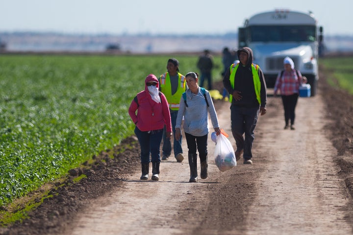 Temporary workers walk off a lettuce farm at the end of their shift near Yuma, Arizona, on Feb. 15.