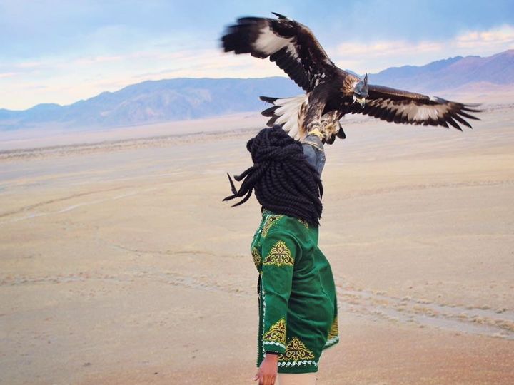 Teaching eagles to hunt in West Mongolia