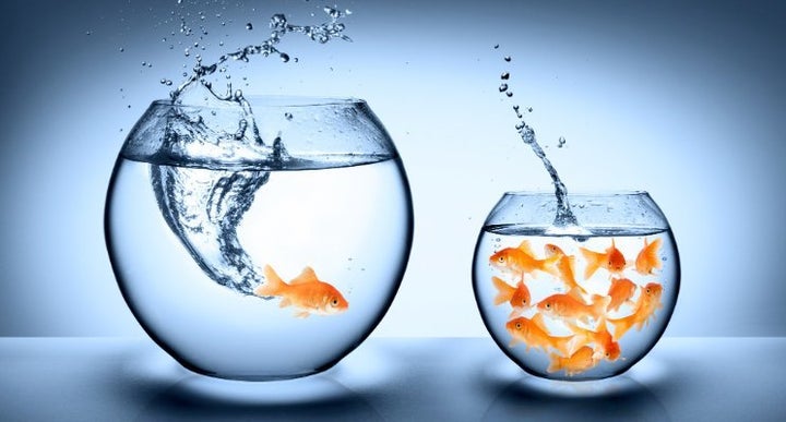 <p>Nobody said success was easy. Dr. Travis Bradberry shares 7 challenges that will take you where you want to go.</p>