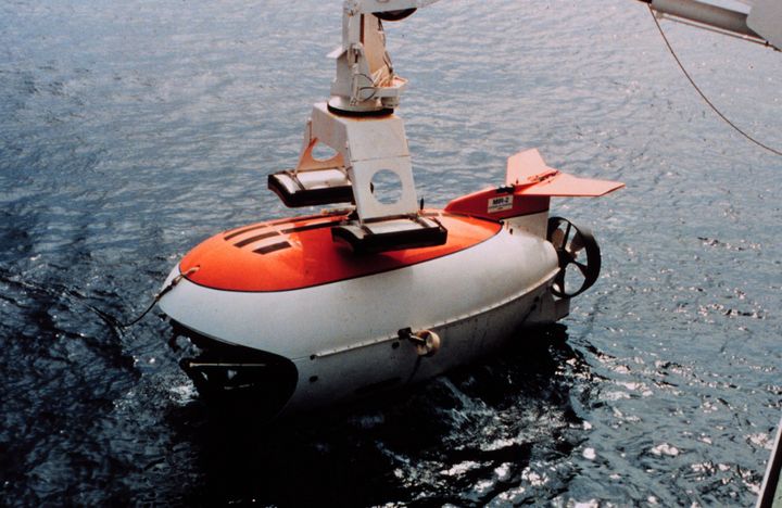 Bluefish will transport passengers in vessels like this MIR submarine, according to the company's website. This one was used to film underwater footage in the movie