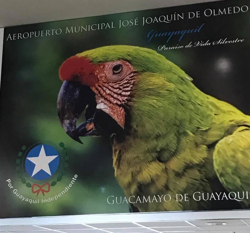 Airport Guayaquil Ecador