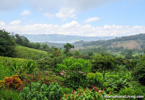 <p>Grecia, Costa Rica</p>