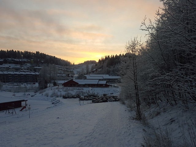 <p>This is our daily walk to school.</p>