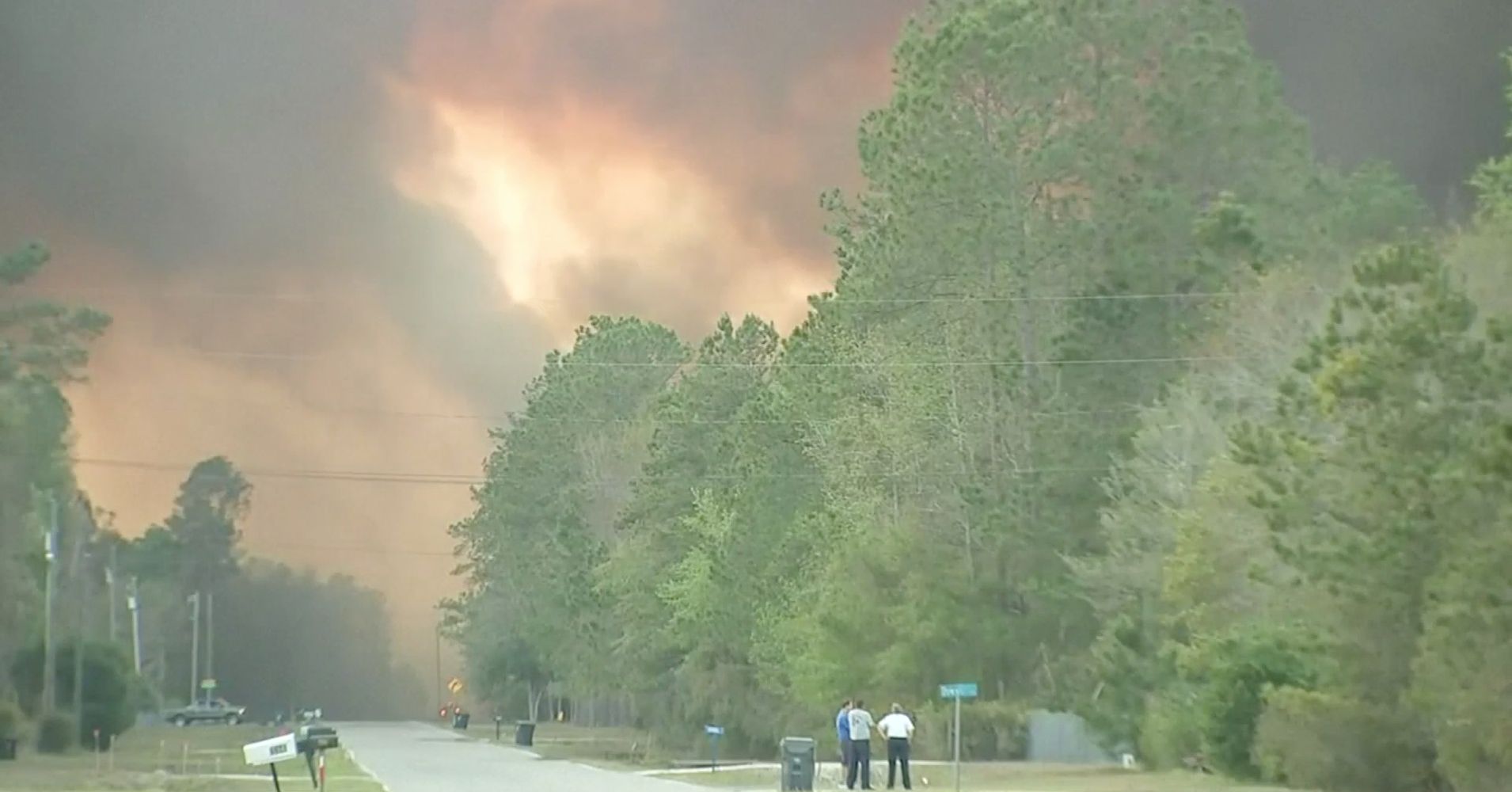 Book Burning Sparked Florida Wildfire That Destroyed 10 Homes