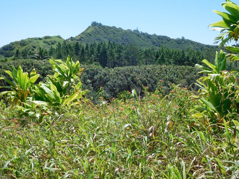 <strong>HIGHEST POINT VIEWS</strong>