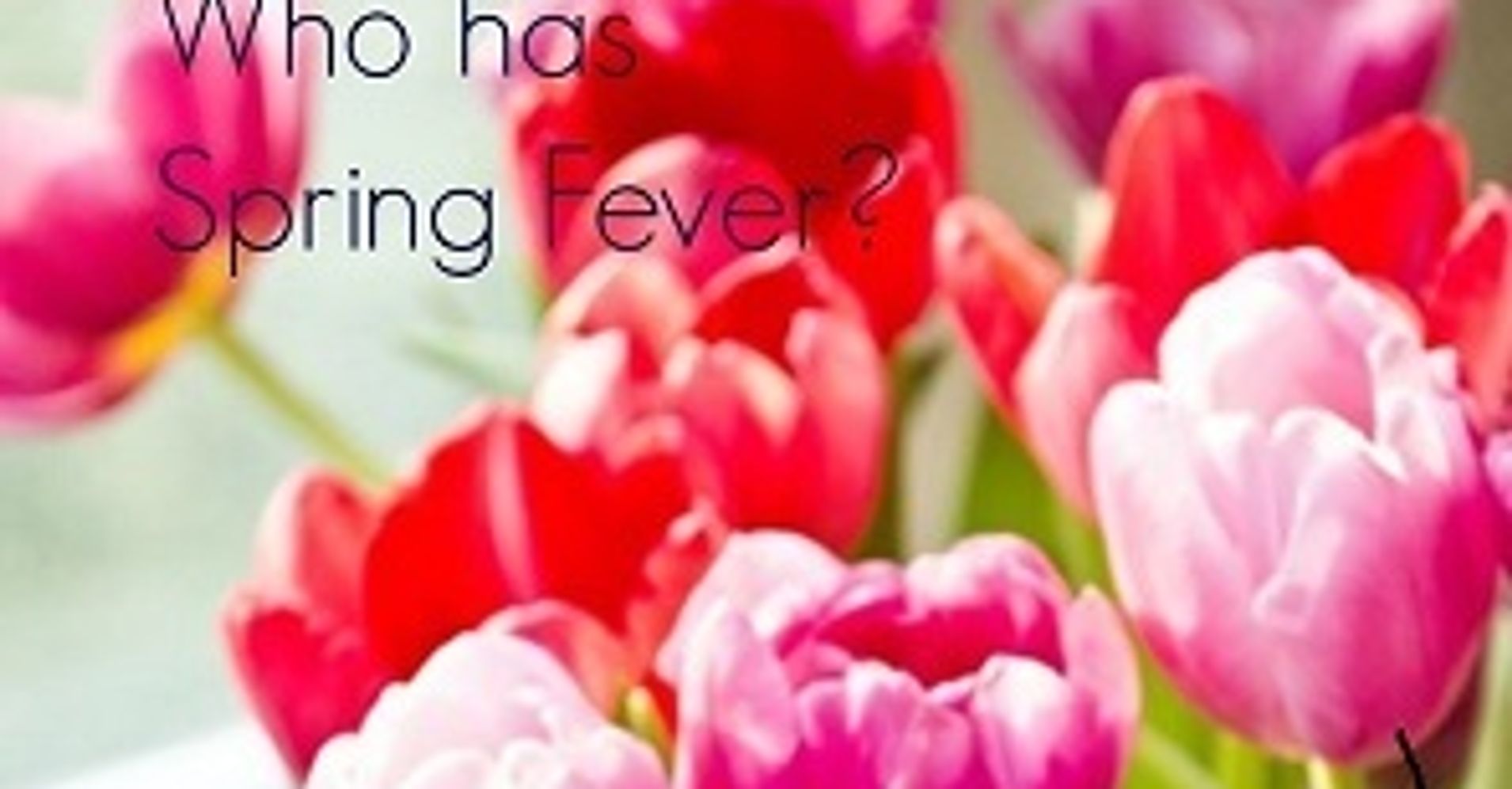 Spring Fever: 5 Reasons It Can Help You Find Love Now | HuffPost