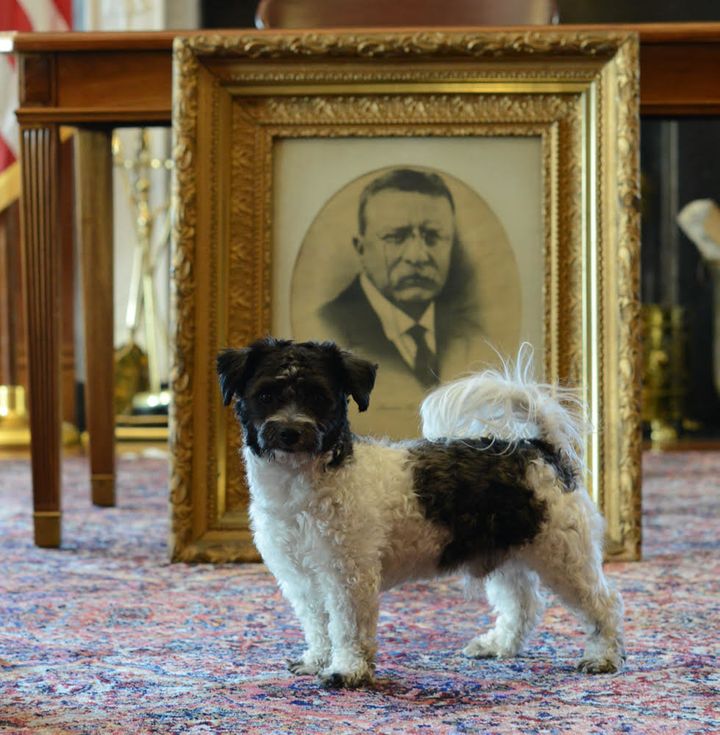 Interior Secretary Ryan Zinke's dog, Ragnar, is pictured at the Interior Department with a portrait former President Theodore Roosevelt.